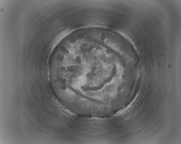 X0000061140925200512161526