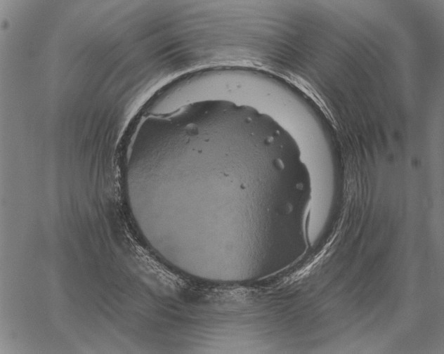 X0000061140926200512161526