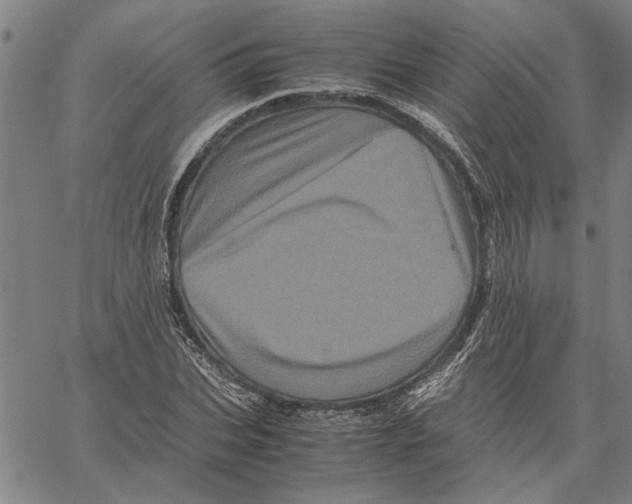 X0000061140927200512161526