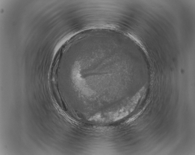 X0000061140928200512161526