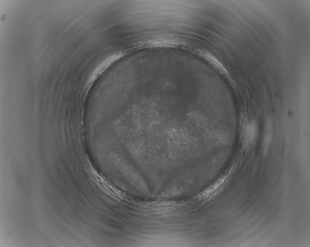 X0000061140930200512161526