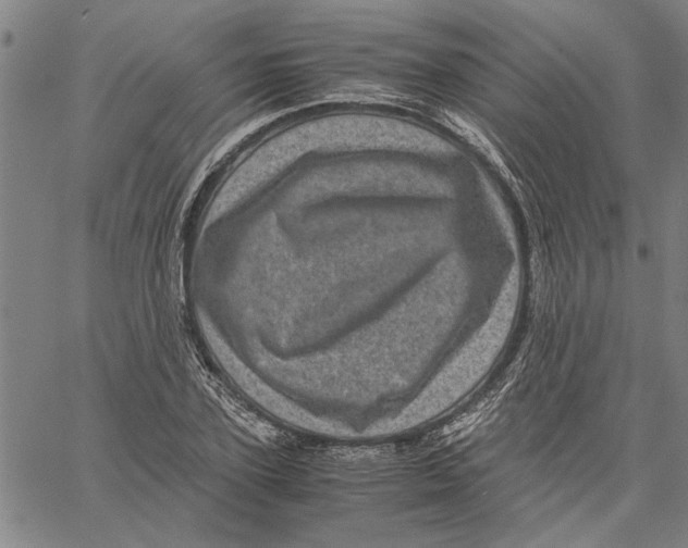 X0000061140931200512161526