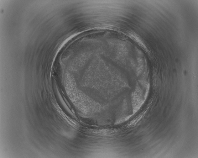 X0000061140932200512161526