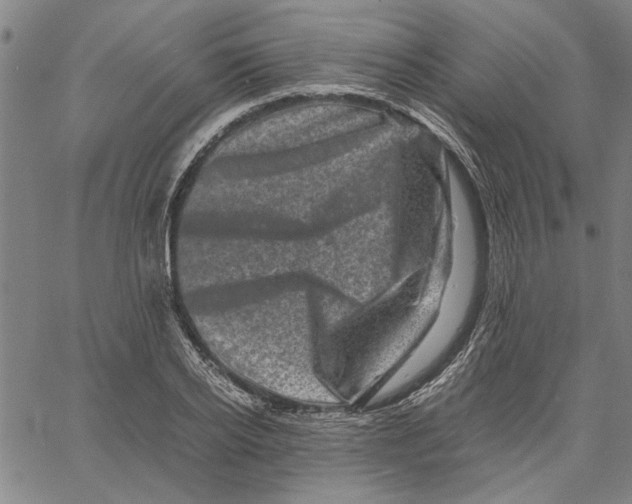 X0000061140934200512161526