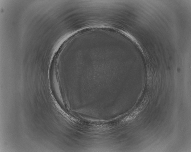 X0000061140935200512161526