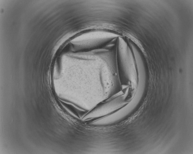 X0000061140936200512161526