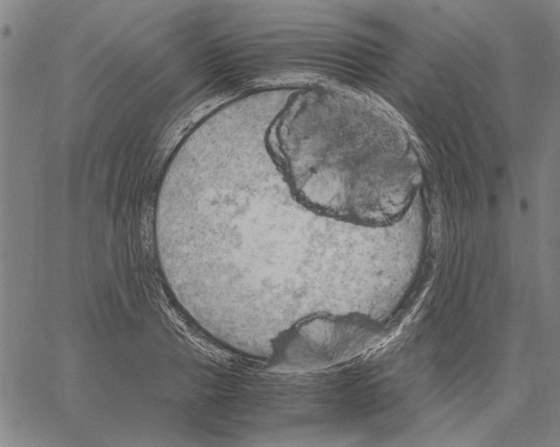 X0000061140937200512161526