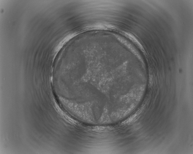 X0000061140938200512161526