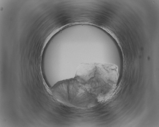 X0000061140941200512161526