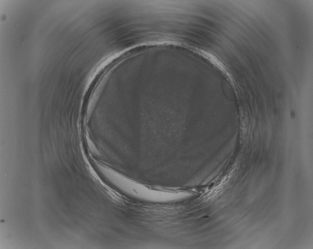 X0000061140943200512161526