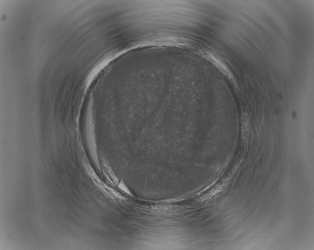 X0000061140944200512161526