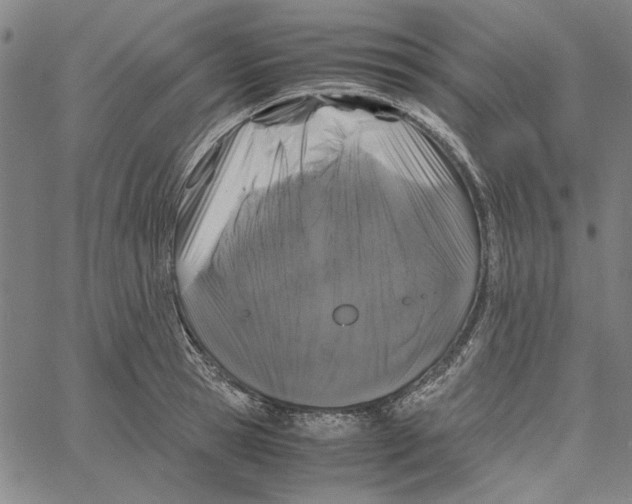 X0000061140945200512161526