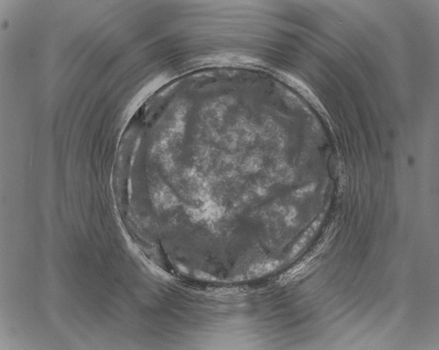 X0000061140946200512161526