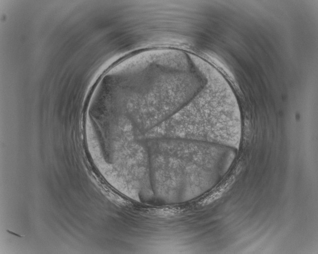 X0000061140948200512161527