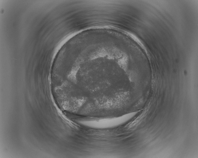 X0000061140951200512161527