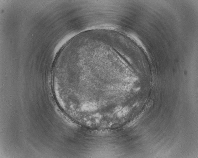 X0000061140952200512161527