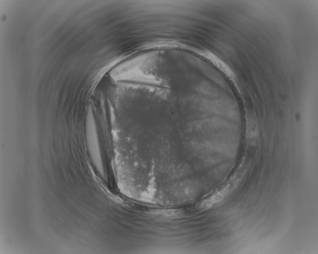 X0000061140953200512161527