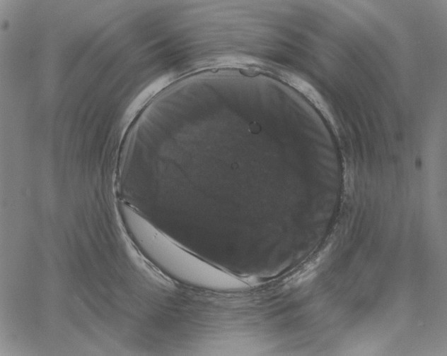 X0000061140954200512161527