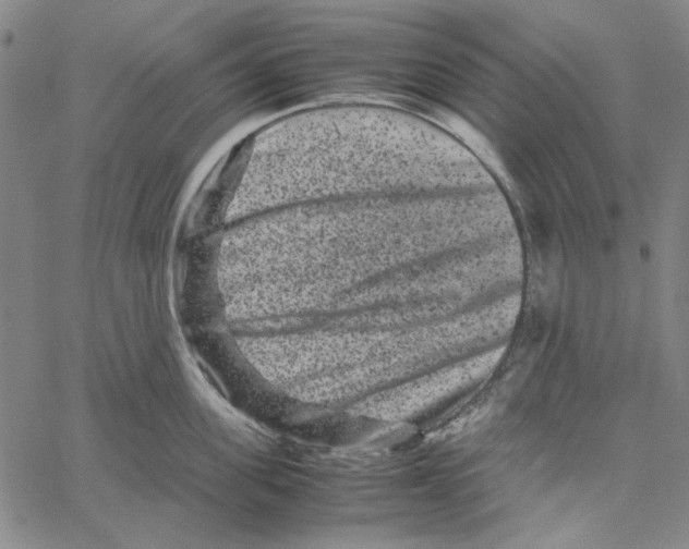 X0000061140955200512161527