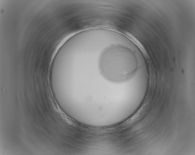 X0000061140956200512161527