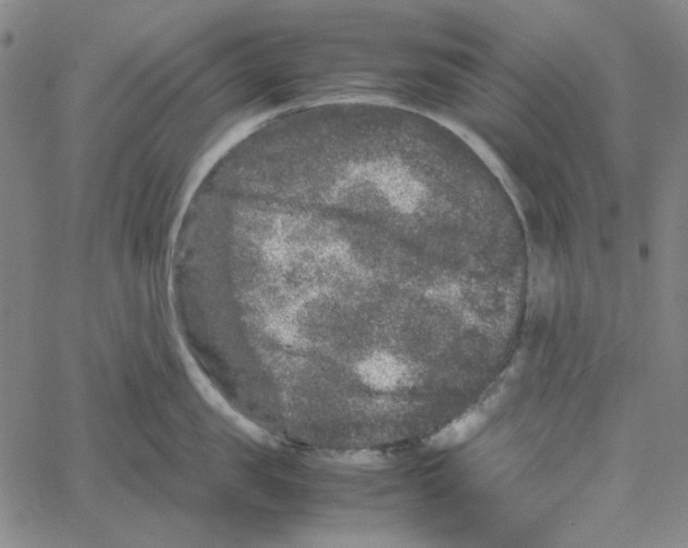 X0000061140957200512161527