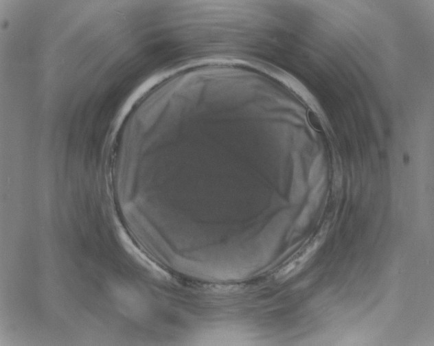 X0000061140958200512161527