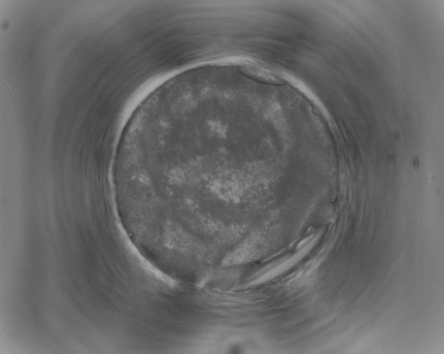 X0000061140959200512161527