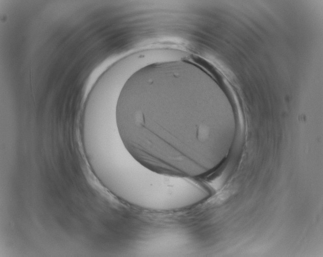 X0000061140960200512161527