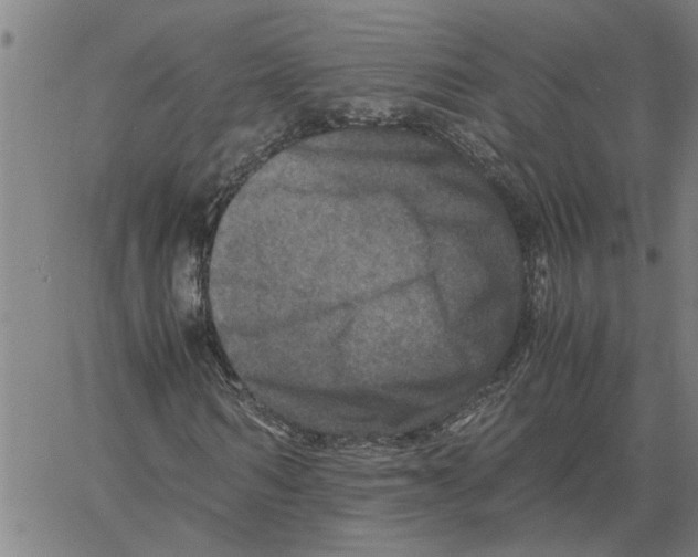 X0000061140962200512161526