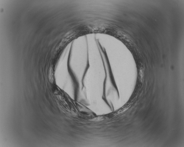 X0000061140963200512161526