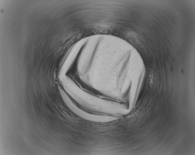 X0000061140964200512161526