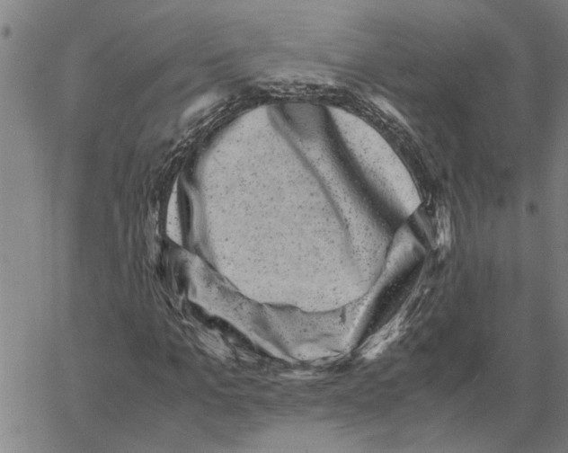 X0000061140965200512161526