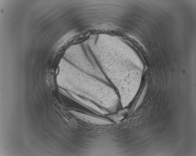 X0000061140968200512161526