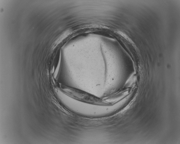 X0000061140969200512161526