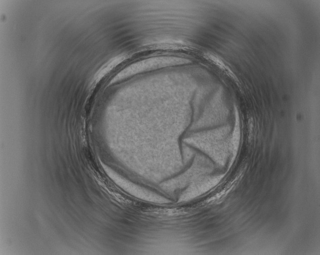 X0000061140970200512161526