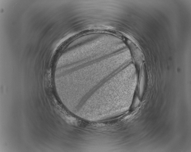 X0000061140971200512161526