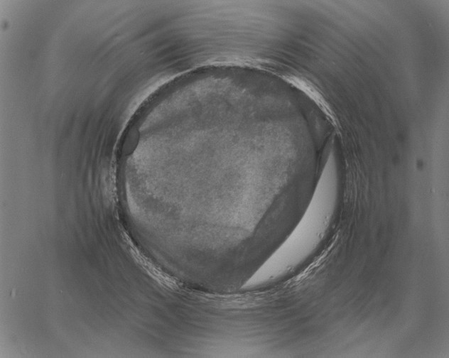 X0000061140976200512161526