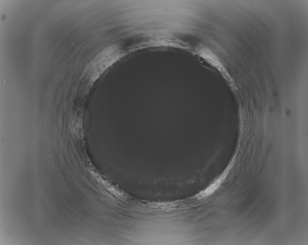 X0000061140977200512161526