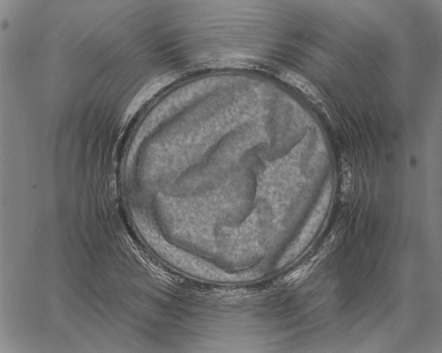 X0000061140978200512161526