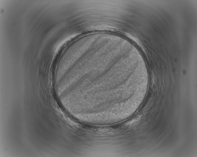 X0000061140979200512161526