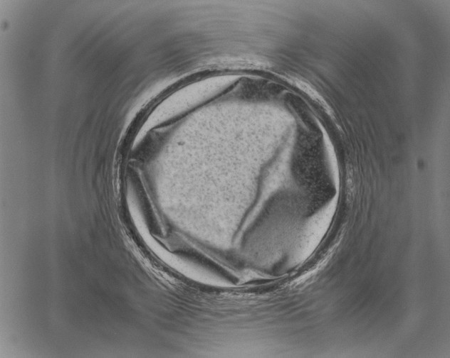 X0000061140981200512161526