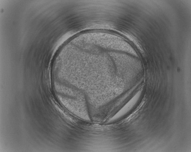 X0000061140982200512161526