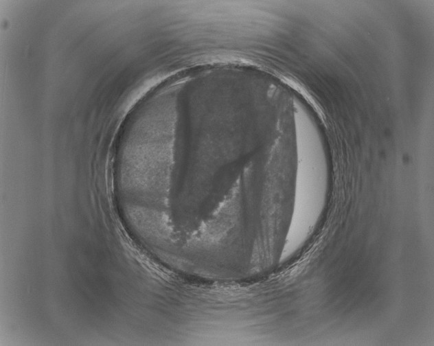 X0000061140983200512161526