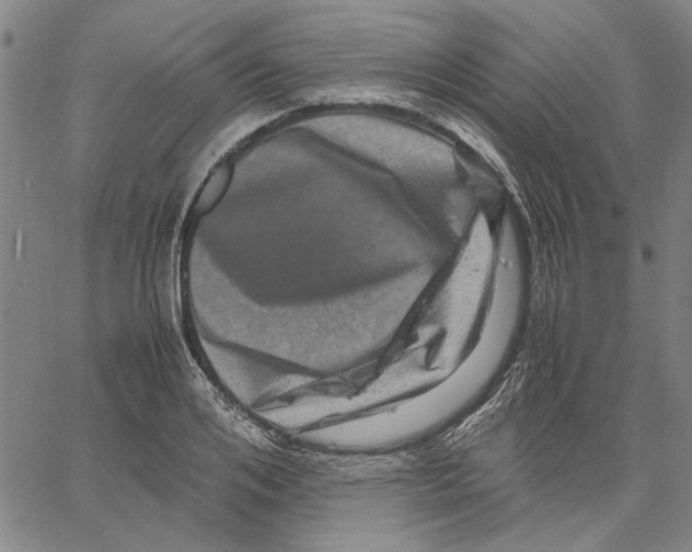 X0000061140984200512161526