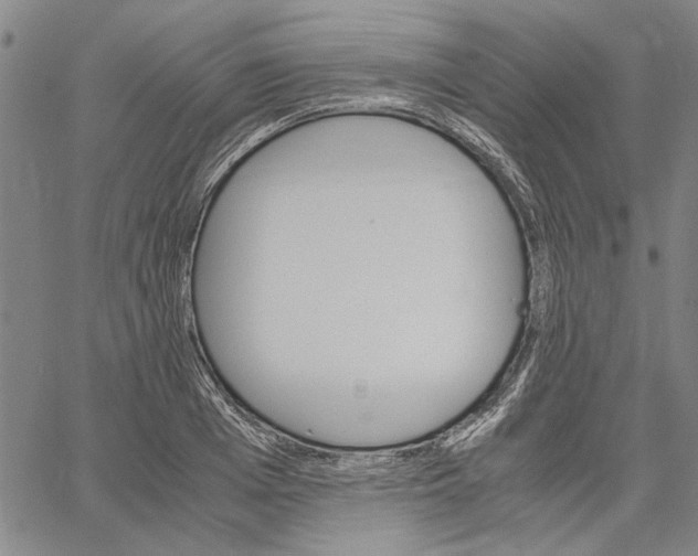 X0000061140985200512161526