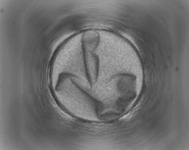 X0000061140987200512161526