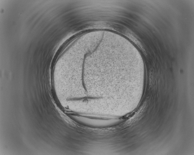 X0000061140988200512161525