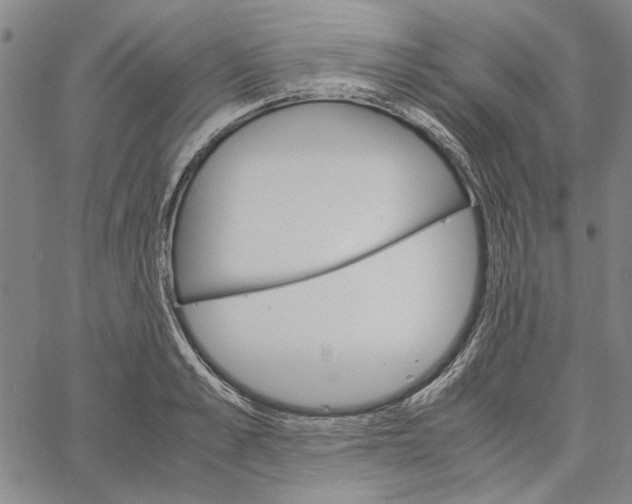 X0000061140989200512161525