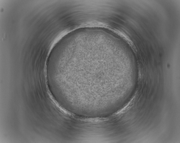 X0000061140990200512161525