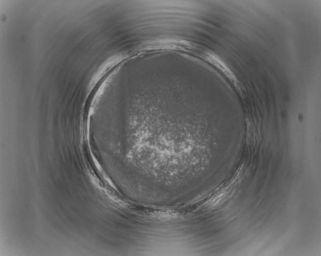 X0000061140994200512161525